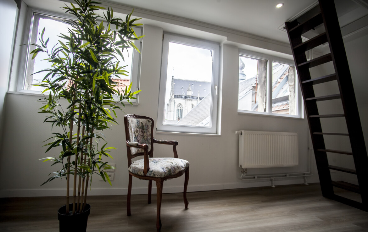 Avar kolmekorruseline korter Antwerpenis